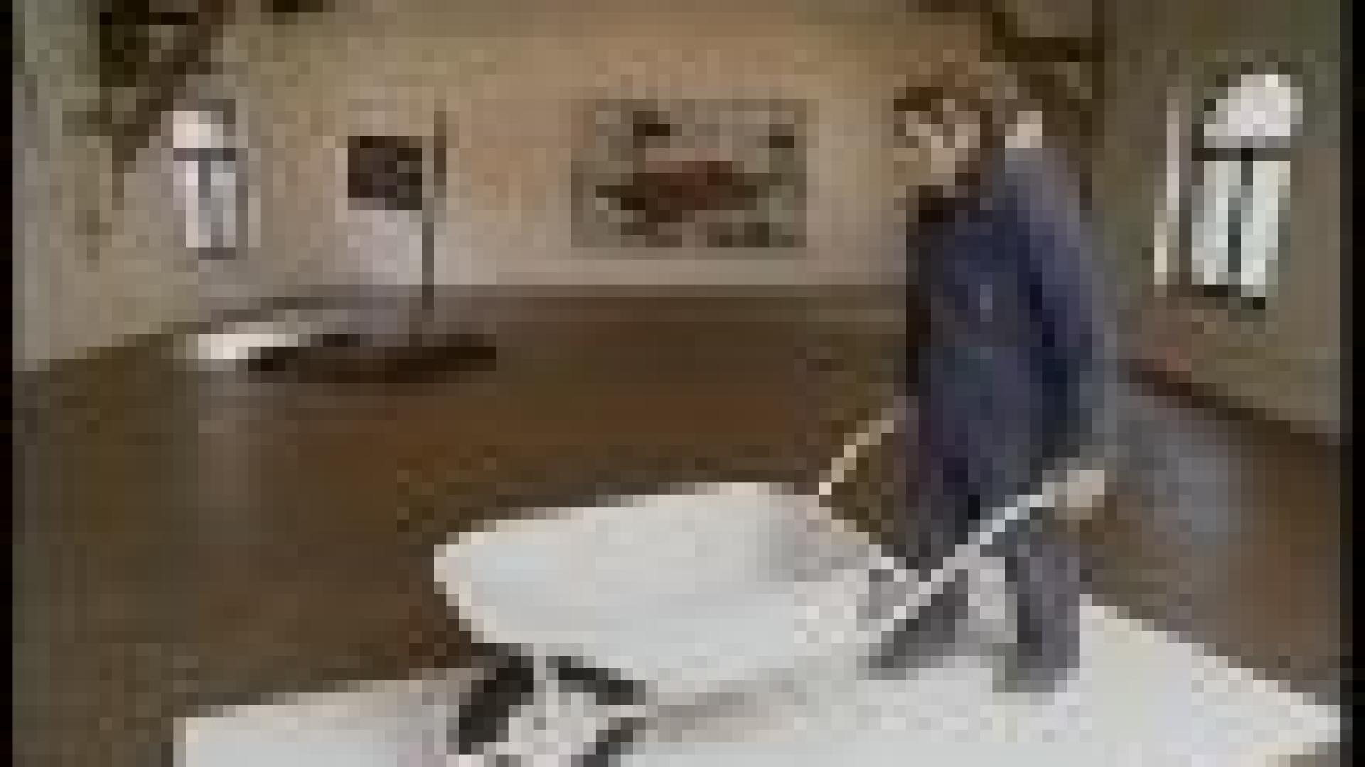 Brasseurs : exposition de Laurent Impeduglia